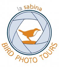 BirdPhotoTours