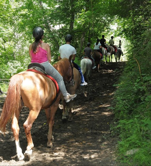 Horse riding in Llavorsí