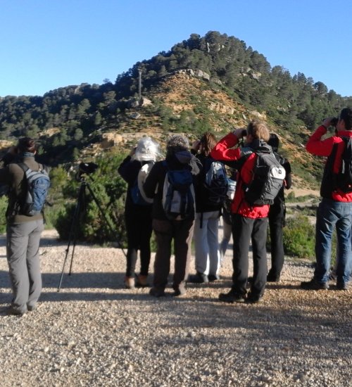 Guided tour to discover Segre-Cinca-Ebre Confluence and to observe birds in the natural areas of Ponent