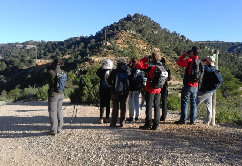 Ruta guiada para descubrir la confluencia Segre-Cinca-Ebro, y para la observación de aves en espacios naturales de Ponent.