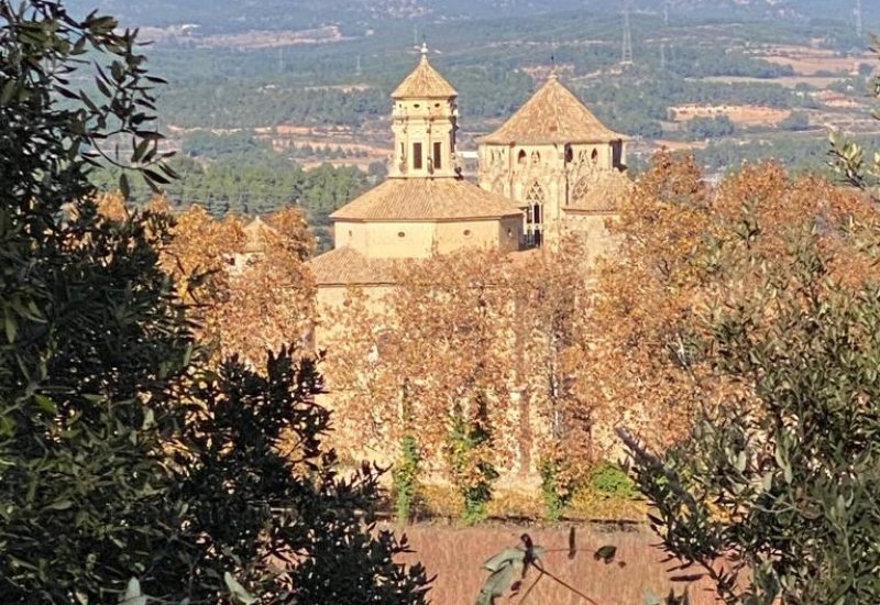 Wellness and Silence Route in PNIN of Poblet Site