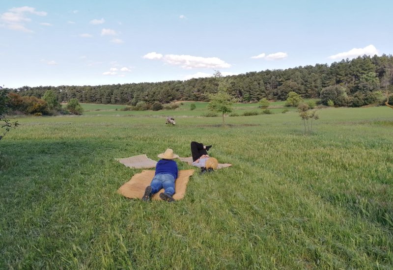 Mindfulness in La Serra de la Llena – Prades Natural Site