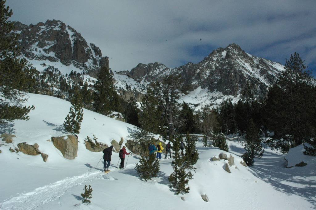 Parc Nacional amb raquetes de neu