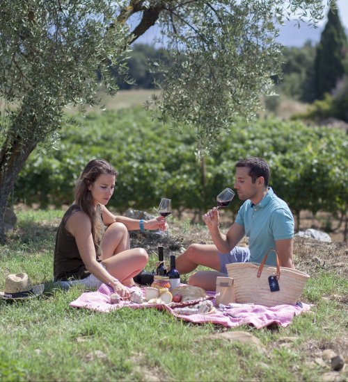 Pícnic entre vinyes a l'Empordà