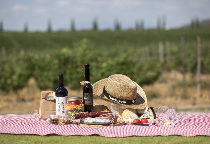 Pícnic entre vinyes a l'Empordà